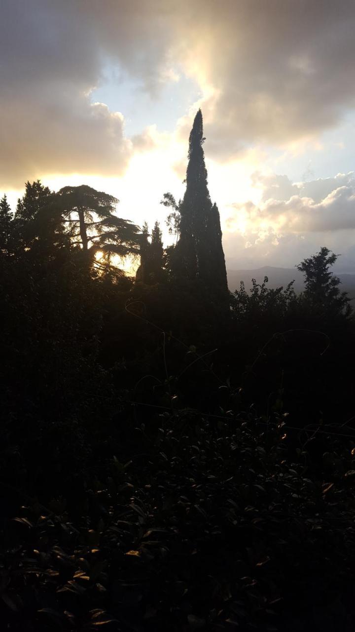 Locanda Nel Cassero Civitella Marittima ภายนอก รูปภาพ
